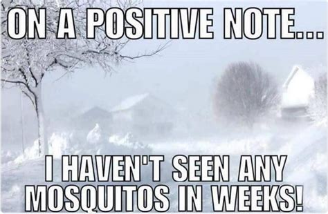 Ya win some, ya lose some. | Weather quotes, Cold weather funny, Funny ...