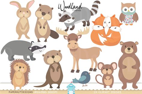 Woodland Forest Animals Clipart