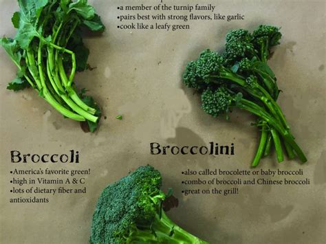 Broccolini vs. Broccoli Rabe vs. Rapini | Cooking Tips | NoshOnIt ...