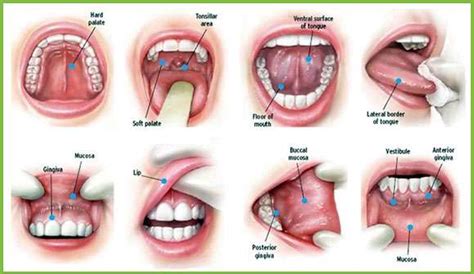 Oral Cancer Screenings - Farmington Family Dental