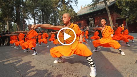 Are You Tough Enough To Handle Life In The Shaolin Temple? - Martial Tribes