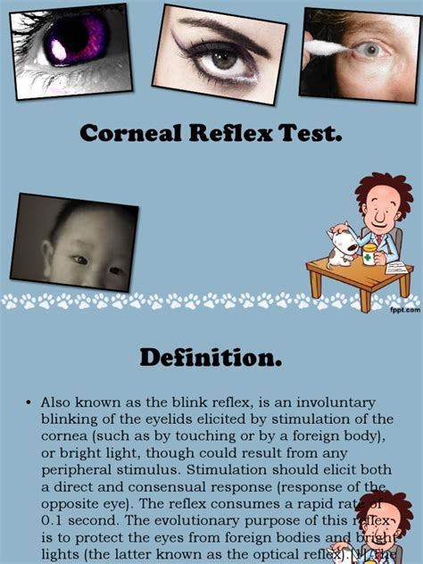 Corneal Reflex | Human Eye | Cornea