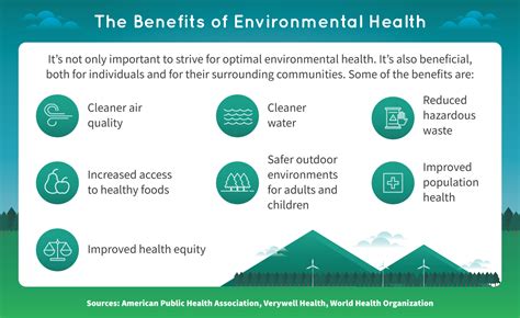 8 Environmental Factors that Affect Health | Regis College Online