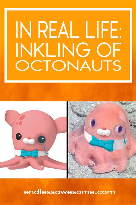 In Real Life: Professor Inkling Of Octonauts - Endless Awesome