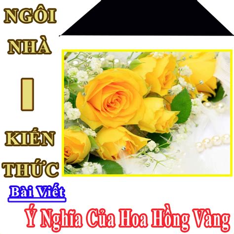 Ý Nghĩa Của Hoa Hồng Vàng Là Gì? Loài Hoa Biểu Tượng Cho Tương Lai Tươi Đẹp