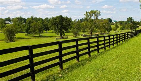 Choose the Right Fencing for Various Livestock Types – Hobby Farms