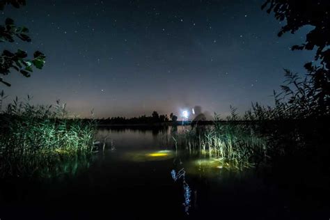 Best Underwater Fishing Lights - Fishing.org