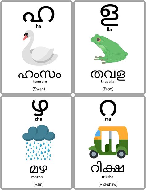 Malayalam Alphabet Flashcards, Malayalam Consonants, Learn Malayalam ...