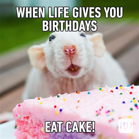 August Birthday Memes - bazaarstory