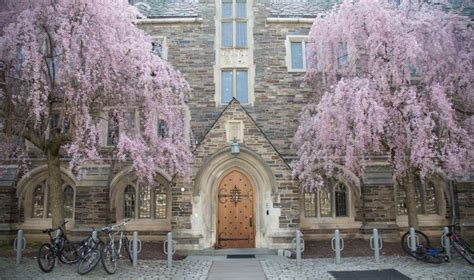 Princeton University Ranking Engineering - INFOLEARNERS