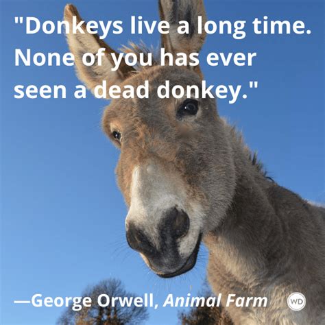 10 Equal Quotes From Animal Farm, by George Orwell - Writer's Digest