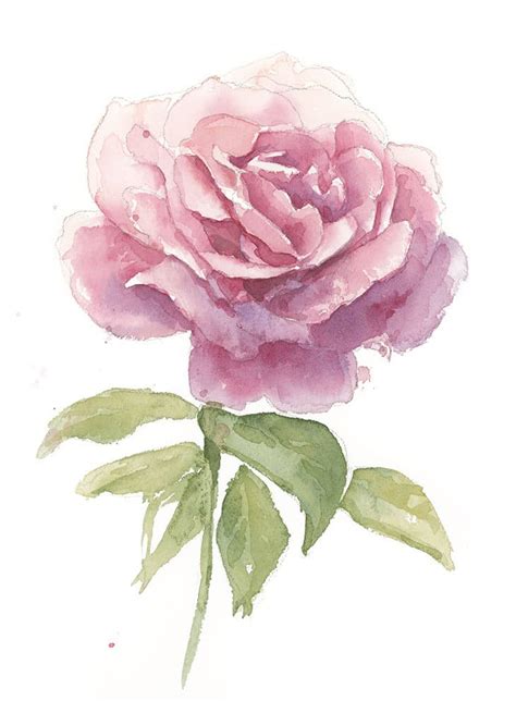 How to Paint Watercolor Roses (From Sketch to Finished Painting ...