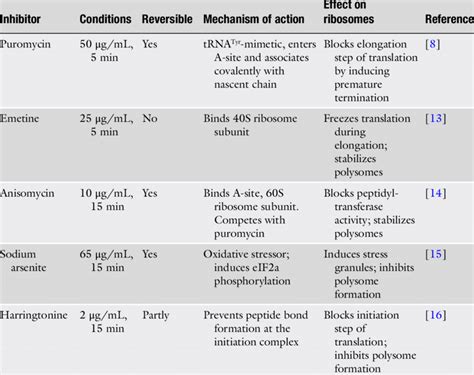 Protein synthesis inhibitors | Download Table