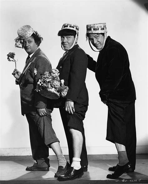 The Stooges | The stooges, Movie tv, Actors