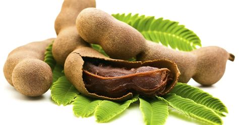 Facts Benefits of Many Nutritious Tamarind Fruit - Benefit Fruit