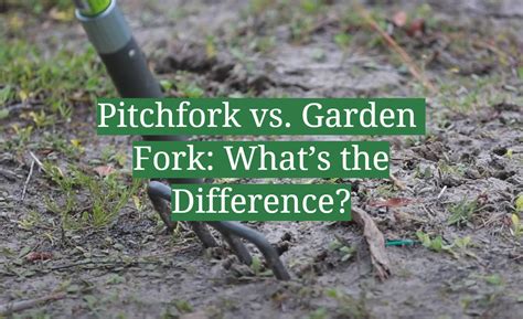 Pitchfork vs. Garden Fork: What’s the Difference? - GardenProfy