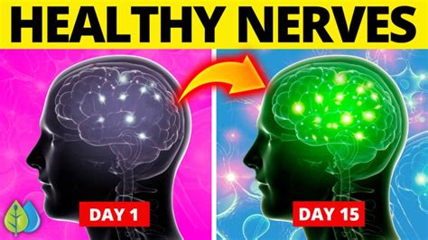 Top 10 Best Herbs For Your Nerves (Calm Nervous System Naturally ...