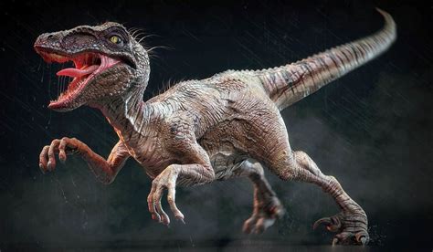 The largest Raptors (dromaeosaurs) – Top 10 | DinoAnimals.com