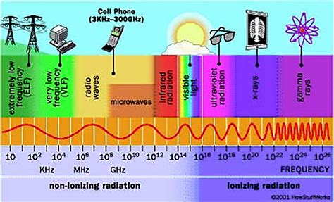 Effects of non-ionizing electromagnetic fields on flora and fauna, Part ...