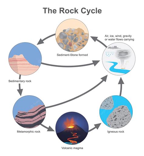 Premium Vector | The Rock Cycle Diagram types of a stone in cycle ...