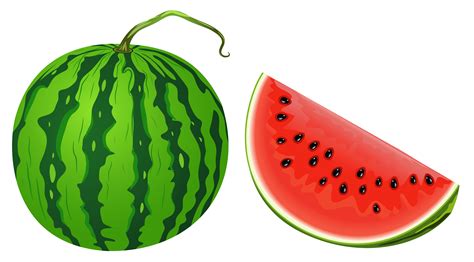 Free Watermelon Tree Cliparts, Download Free Watermelon Tree Cliparts ...