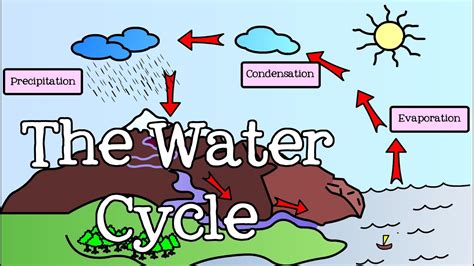 [DIAGRAM] Diagrams Of Water Cycle For Kids - MYDIAGRAM.ONLINE