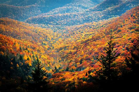 Fall Foliage Great Smoky Mountains Painted Photograph by Rich Franco