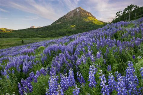 Hiking the Colorado Trail | Colorado.com