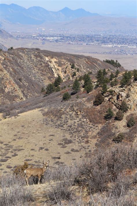 Roxborough State Park, Colorado Stock Image - Image of states, outdoors ...