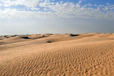 Sahara Excursions in Tunisia with Mosaic North Africa