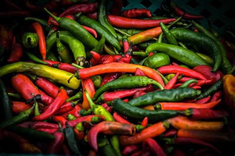 10 Amazing Health Benefits of Chili Pepper - Malindians.com