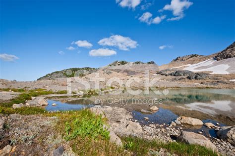 Alpine Tarn By The Wonderland Trail Stock Photo | Royalty-Free | FreeImages