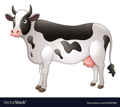 Cartoon cow cute vector image on VectorStock | Cow cartoon images ...