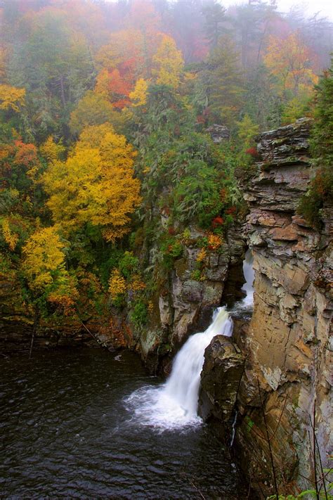 8 easy waterfalls hikes in north carolina you re guaranteed to love ...