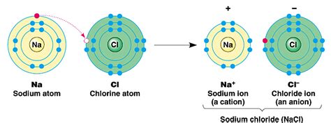 Is NaCl a Covalent Bond? - EnthuZiastic