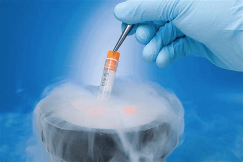 Frozen Embryo Transfer (FET) Process & Implementation