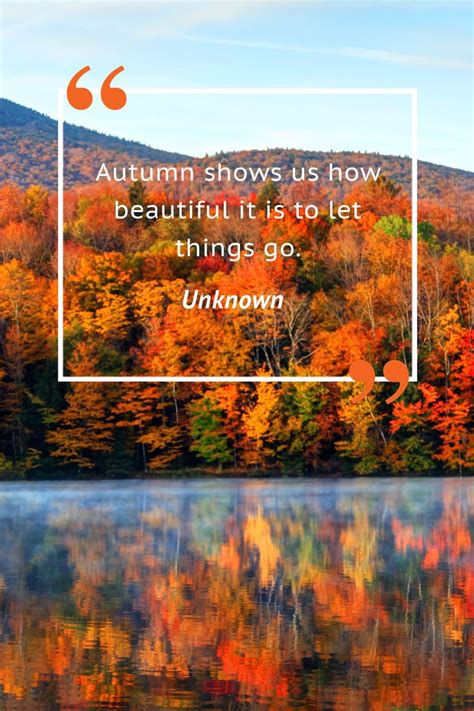 Celebrate the Beauty of Autumn with These Fall Quotes | Autumn quotes ...