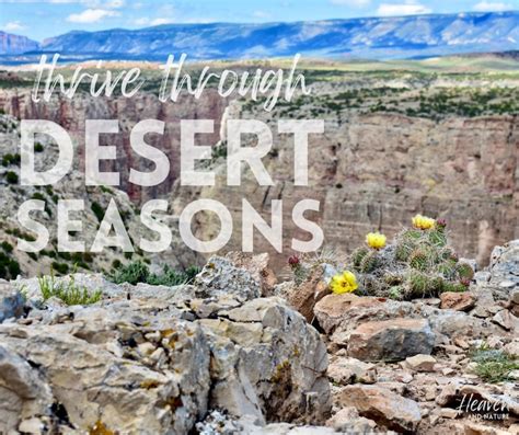 How to Thrive through Desert Seasons - Heaven and Nature