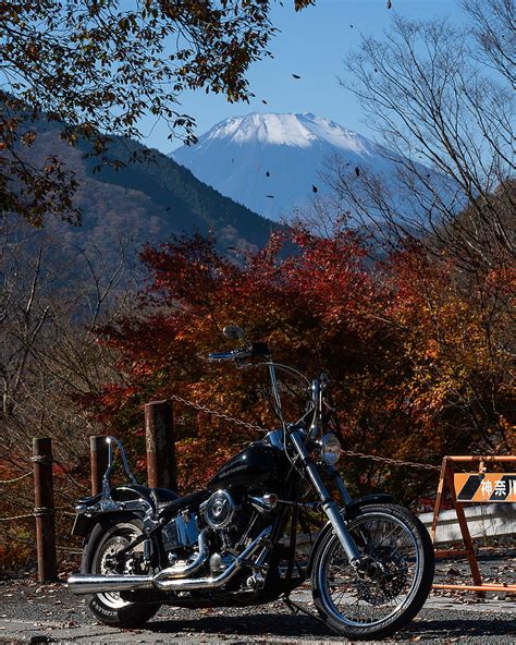 Motorcycle, bike, chopper, black, nature, autumn, HD phone wallpaper ...