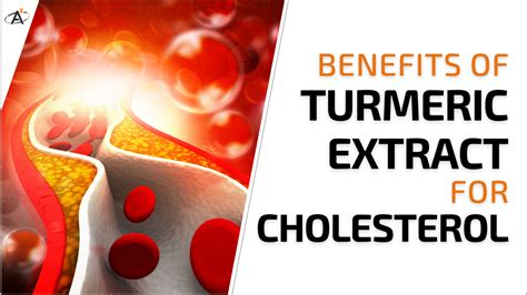 Benefits of Turmeric Extract for Cholesterol - Active Atoms