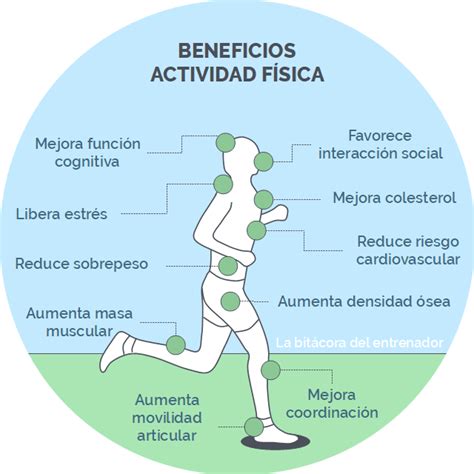 ¿Qué es la actividad física?