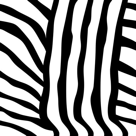 Zebra Stripes Seamless Pattern. Black and white print. 23105377 Vector ...