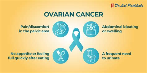 Ovarian Cancer: Causes, Symptoms, and Diagnosis - Dr Lal PathLabs Blog