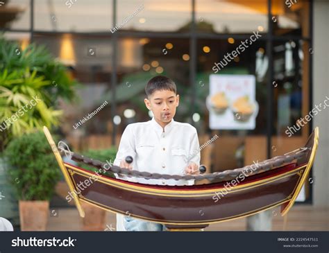 Asian Boy Play Ranat Ek Thai Stock Photo 2224547511 | Shutterstock