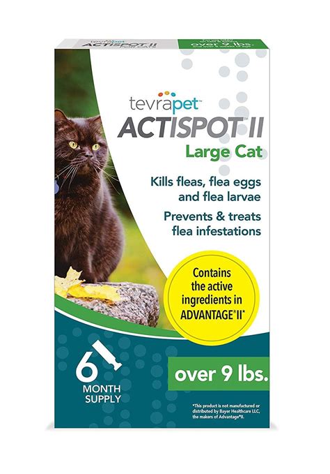 The Best Flea Treatments for Cats of 2020 — ReviewThis