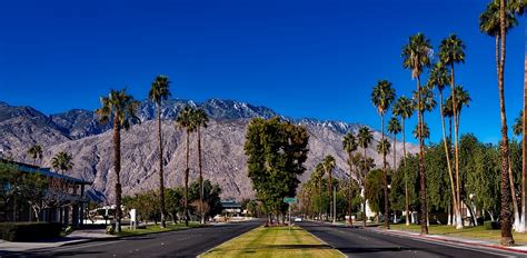 Palm Springs California Trees · Free photo on Pixabay