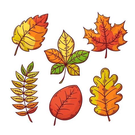 Download Autumn Leaves Collection Drawing for free | Autumn leaves art ...