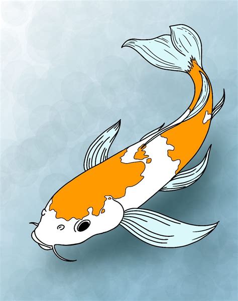 How To Draw Koi Fish - Draw Central | Koi fish drawing, Koi art, Fish ...