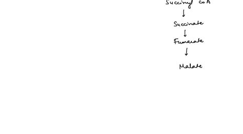 SOLVED: Q3) Identify four examples to escribe anaplerotic reactions of ...