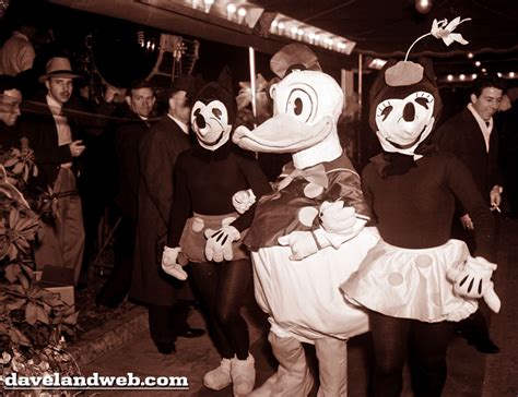 Donald and Daisy Costumes Through the Years | Disney Wiki | FANDOM ...